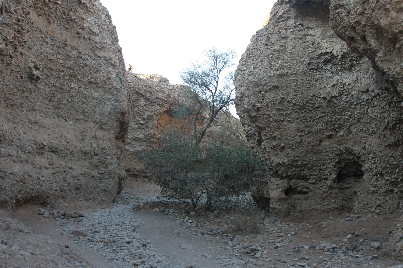 [13910] 2016_06_24_11_39_03_Africa_Canon_EOS_40D_IMG__09392.jpg