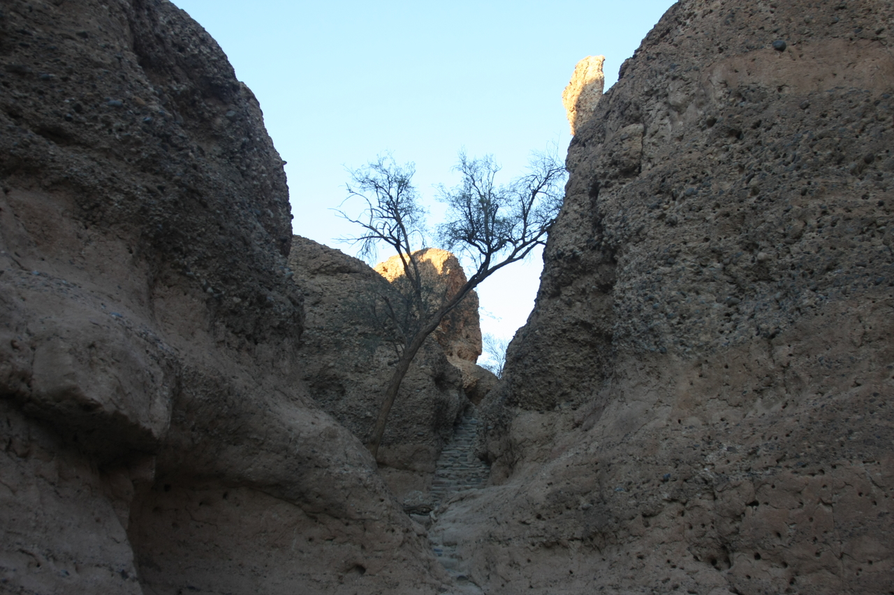 [13942] 2016_06_24_11_44_09_Africa_Canon_EOS_40D_IMG__01958.jpg