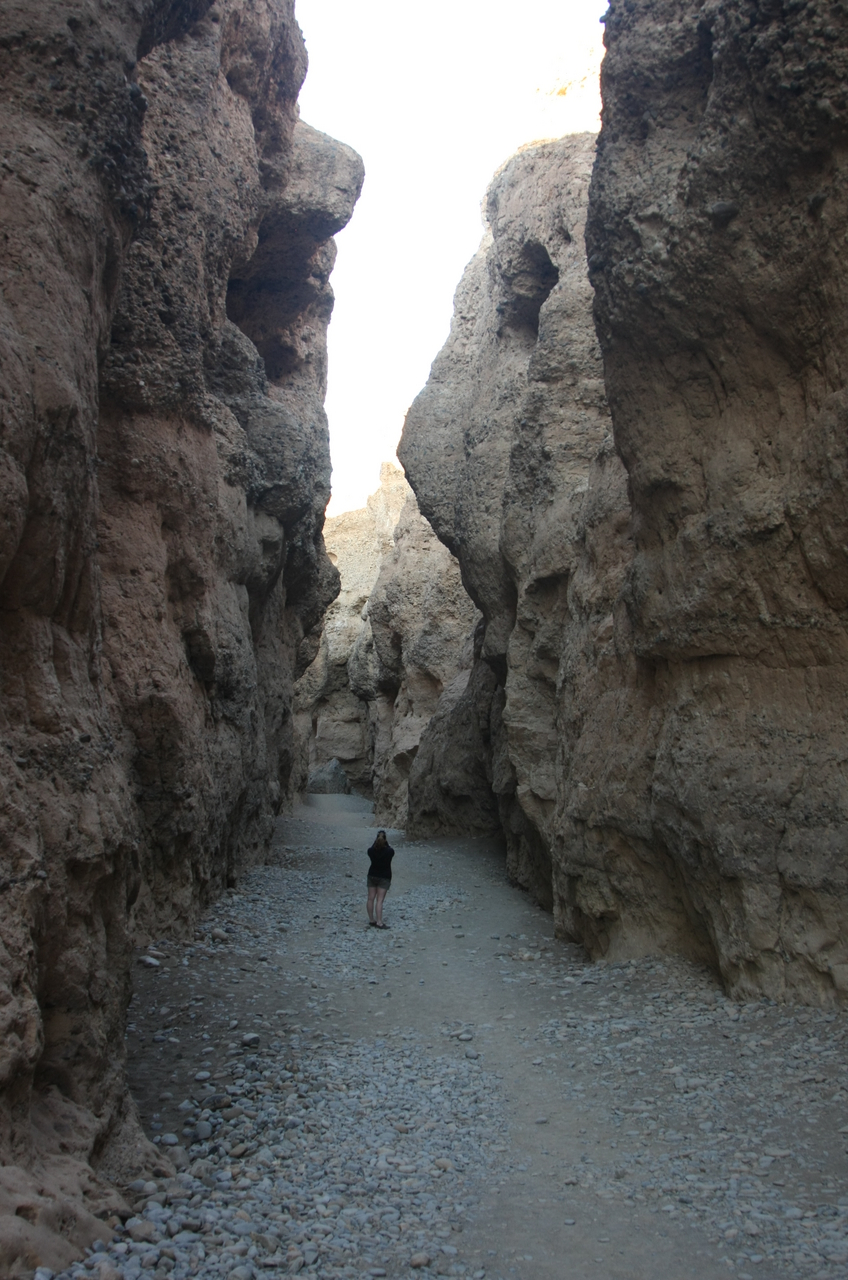 [13987] 2016_06_24_11_47_03_Africa_Canon_EOS_40D_IMG__09420.jpg