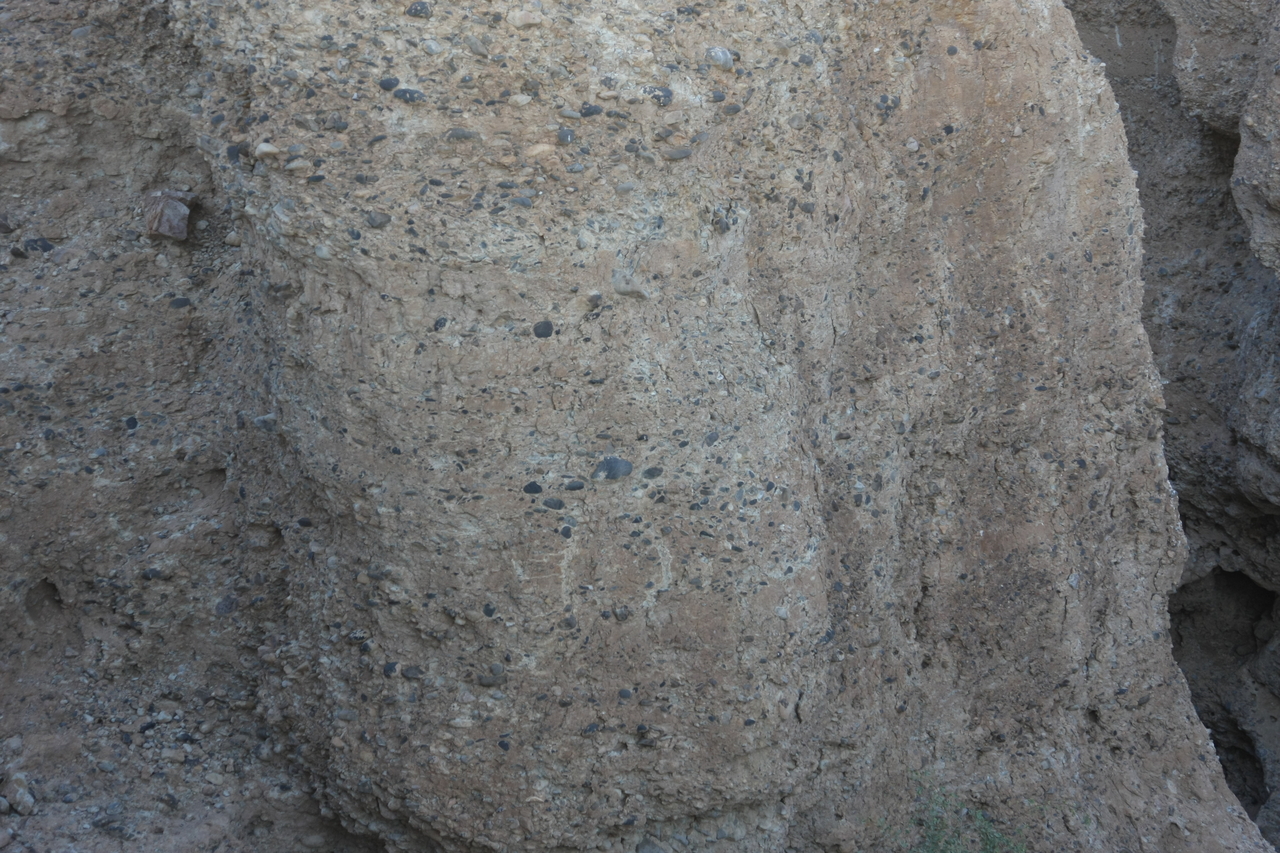 [14017] 2016_06_24_11_54_06_Africa_Canon_EOS_40D_IMG__01982.jpg