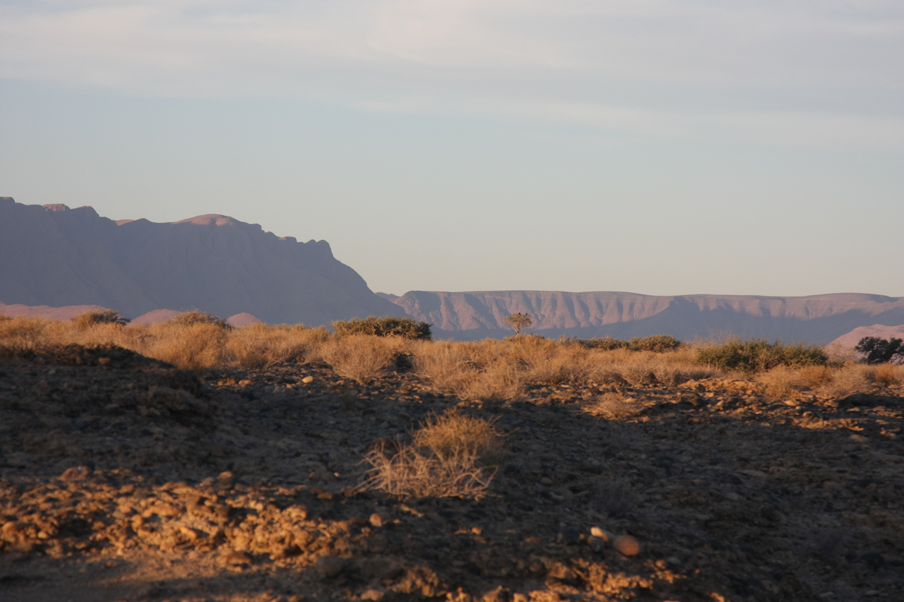 [14046] 2016_06_24_11_55_43_Africa_Canon_EOS_40D_IMG__01990.jpg