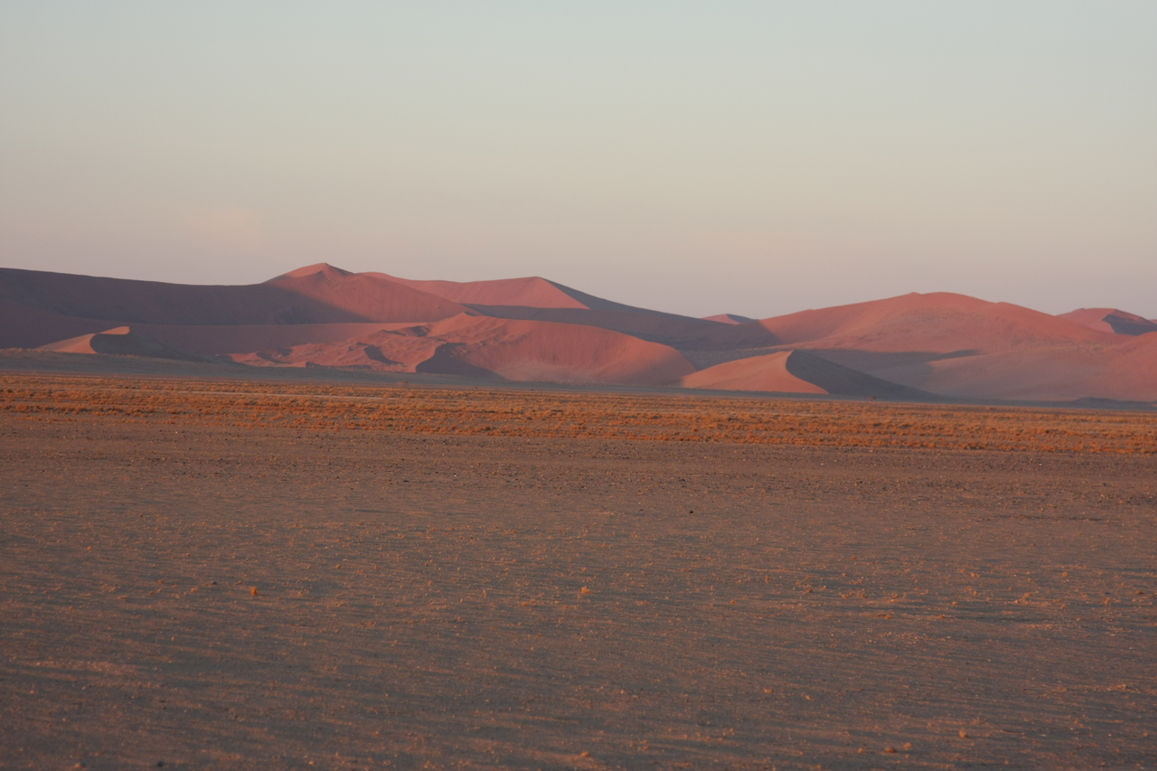 [14630] 2016_06_25_01_51_26_Africa_Canon_EOS_40D_IMG__09442.jpg