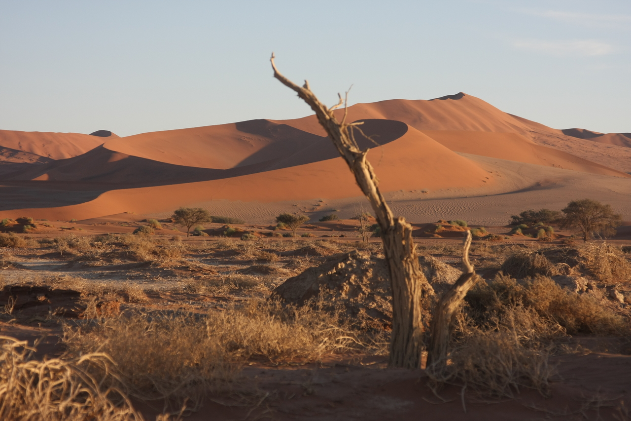 [14692] 2016_06_25_02_20_52_Africa_Canon_EOS_40D_IMG__02084.jpg