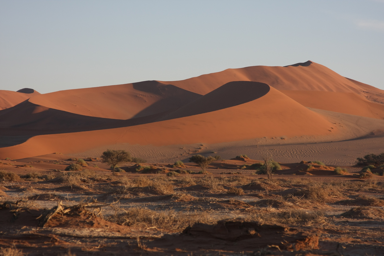 [14705] 2016_06_25_02_21_18_Africa_Canon_EOS_40D_IMG__09576.jpg