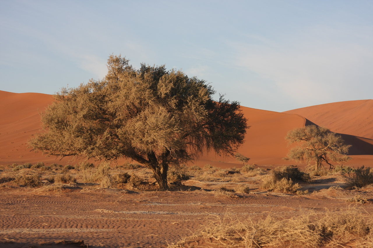 [14706] 2016_06_25_02_21_57_Africa_Canon_EOS_40D_IMG__00147.jpg