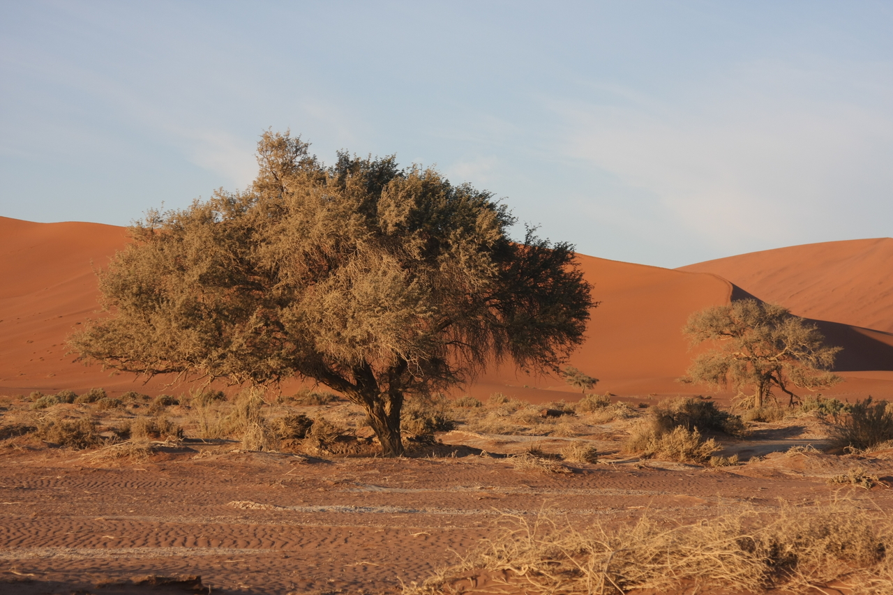 [14709] 2016_06_25_02_21_57_Africa_Canon_EOS_40D_IMG__02151.jpg