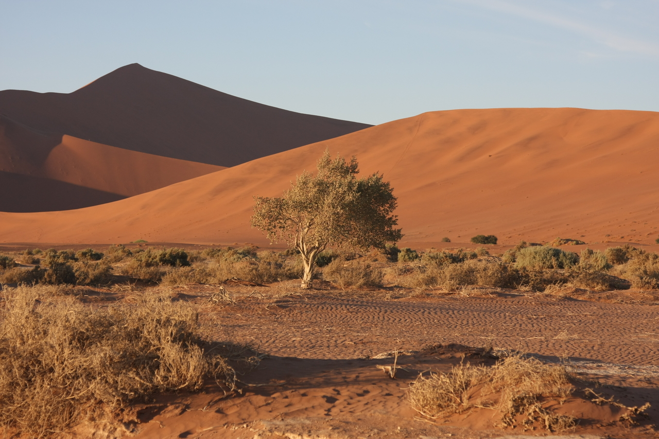 [14728] 2016_06_25_02_22_14_Africa_Canon_EOS_40D_IMG__09631.jpg