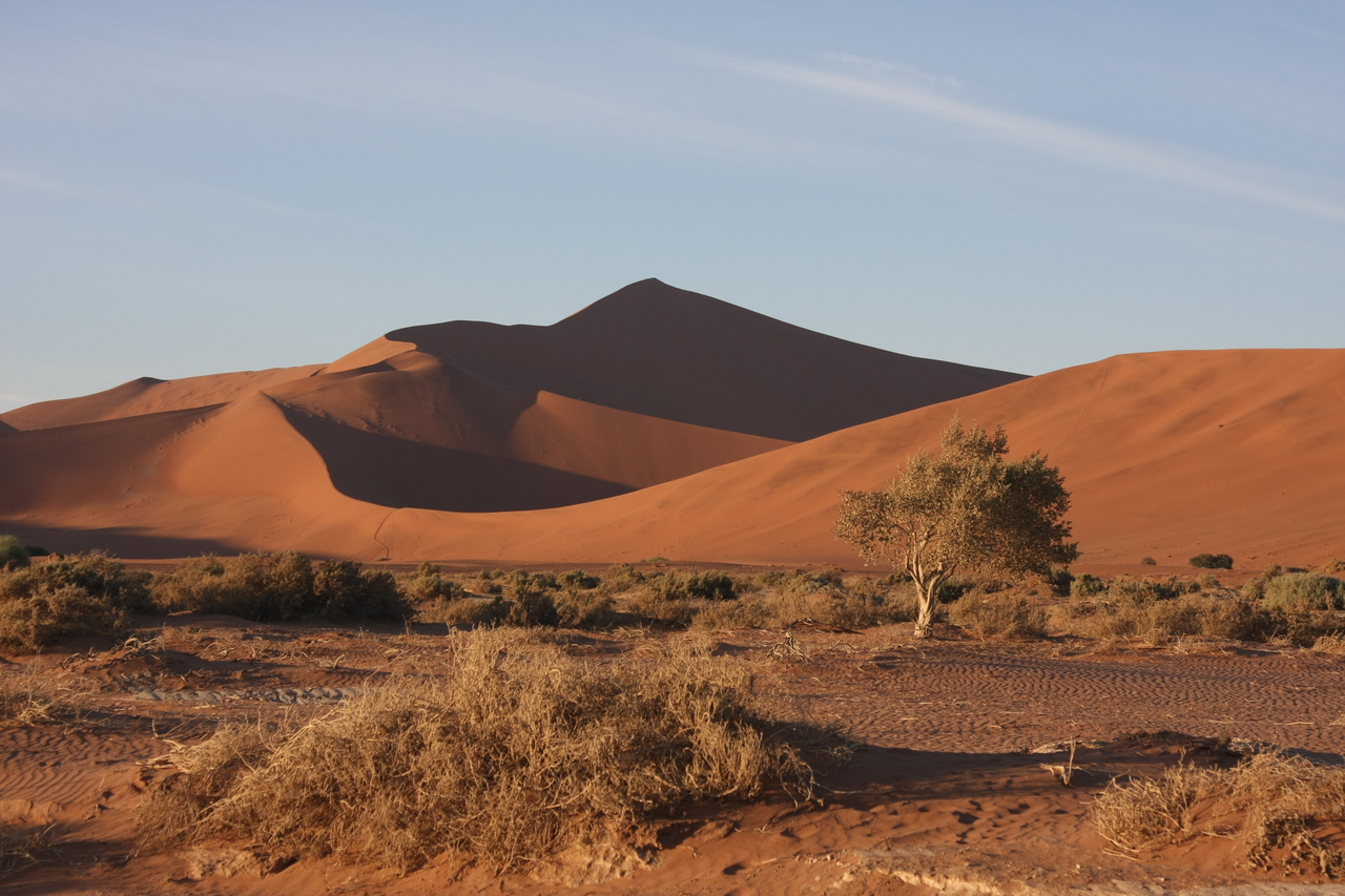 [14733] 2016_06_25_02_22_24_Africa_Canon_EOS_40D_IMG__02204.jpg