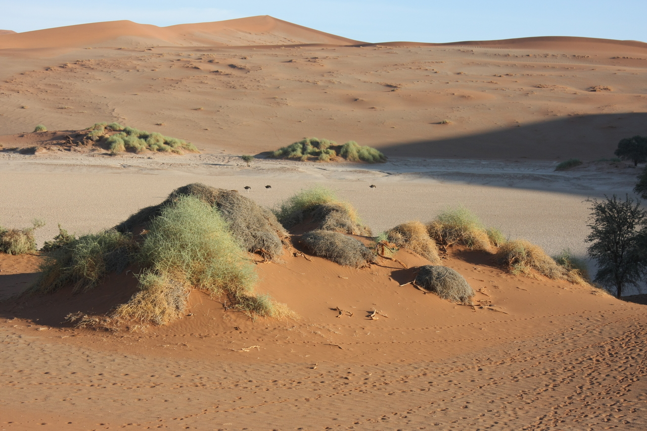 [14793] 2016_06_25_02_50_25_Africa_Canon_EOS_40D_IMG__00232.jpg