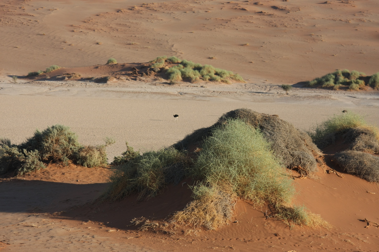 [14799] 2016_06_25_02_50_38_Africa_Canon_EOS_40D_IMG__02228.jpg