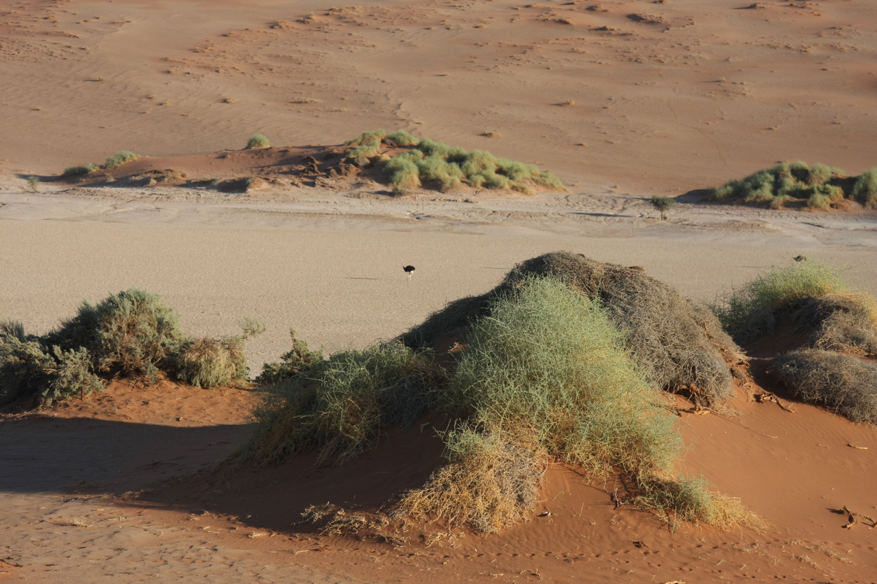 [14800] 2016_06_25_02_50_38_Africa_Canon_EOS_40D_IMG__09673.jpg