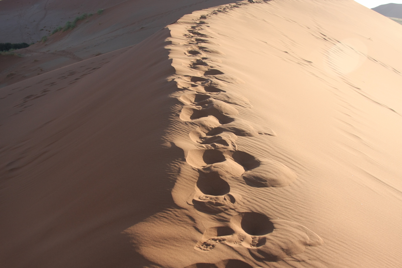 [14812] 2016_06_25_02_51_58_Africa_Canon_EOS_40D_IMG__00240.jpg