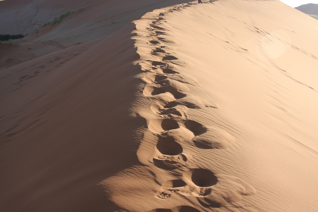 [14813] 2016_06_25_02_51_58_Africa_Canon_EOS_40D_IMG__02232.jpg