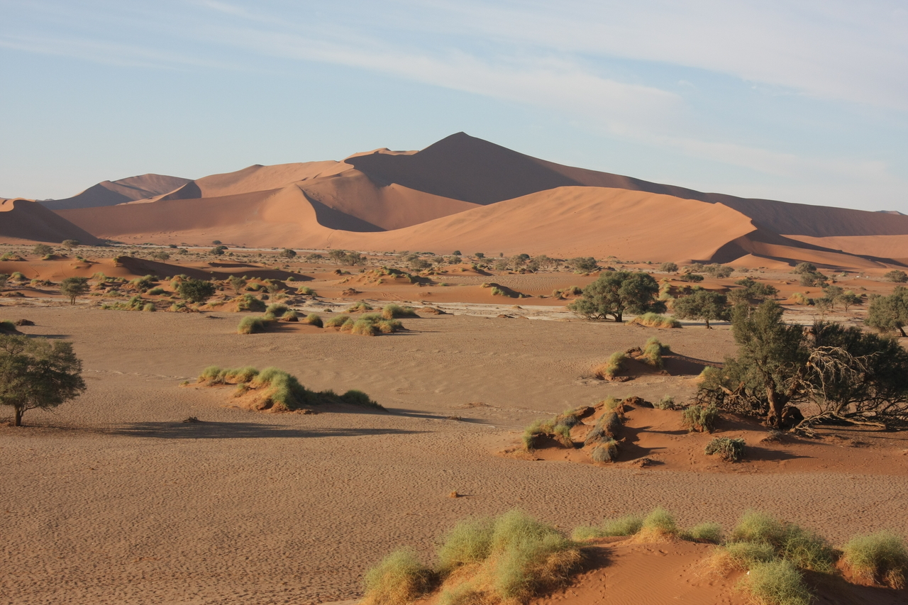 [14826] 2016_06_25_02_53_00_Africa_Canon_EOS_40D_IMG__00244.jpg