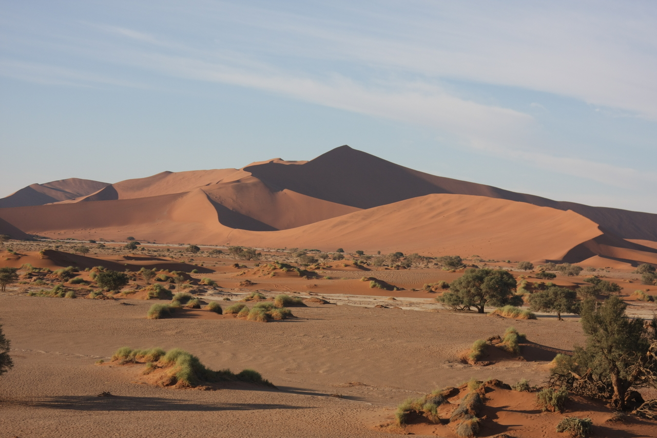 [14831] 2016_06_25_02_53_11_Africa_Canon_EOS_40D_IMG__02239.jpg