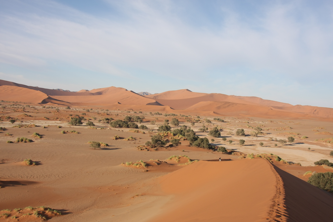 [14916] 2016_06_25_03_01_40_Africa_Canon_EOS_40D_IMG__02263.jpg