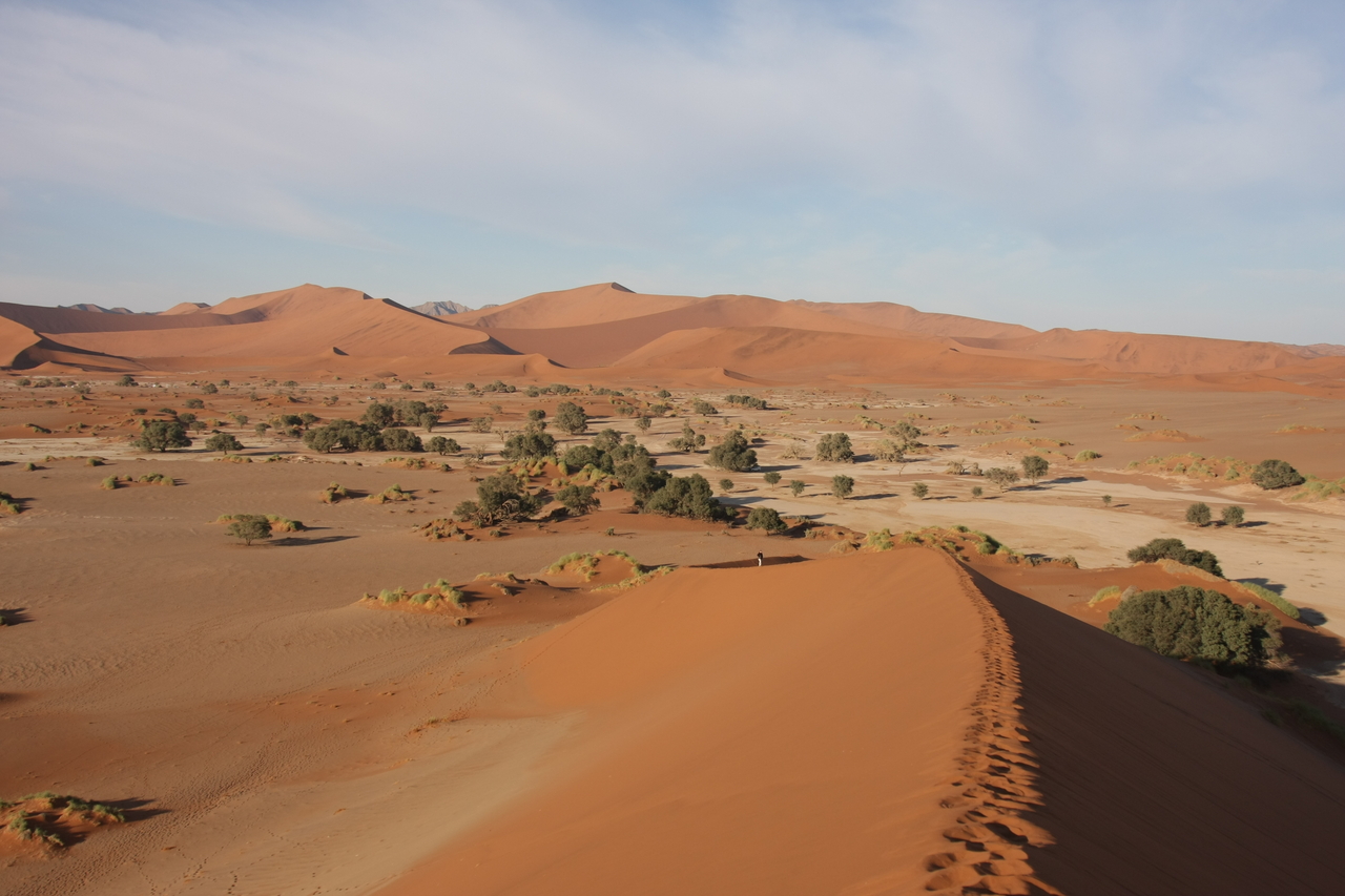 [14932] 2016_06_25_03_02_15_Africa_Canon_EOS_40D_IMG__09715.jpg