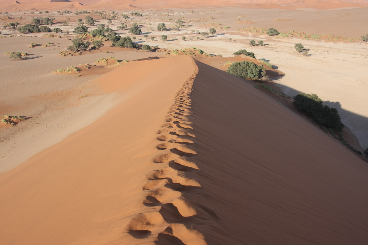 [14944] 2016_06_25_03_06_15_Africa_Canon_EOS_40D_IMG__09720.jpg