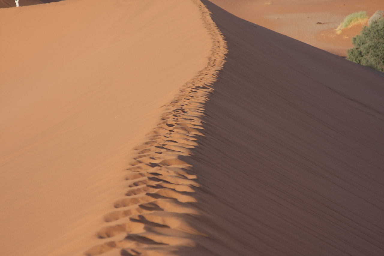 [14947] 2016_06_25_03_06_24_Africa_Canon_EOS_40D_IMG__09721.jpg