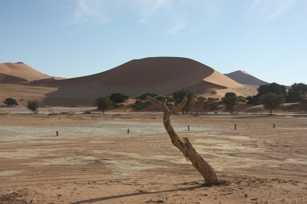 [15023] 2016_06_25_03_27_28_Africa_Canon_EOS_40D_IMG__00006.jpg