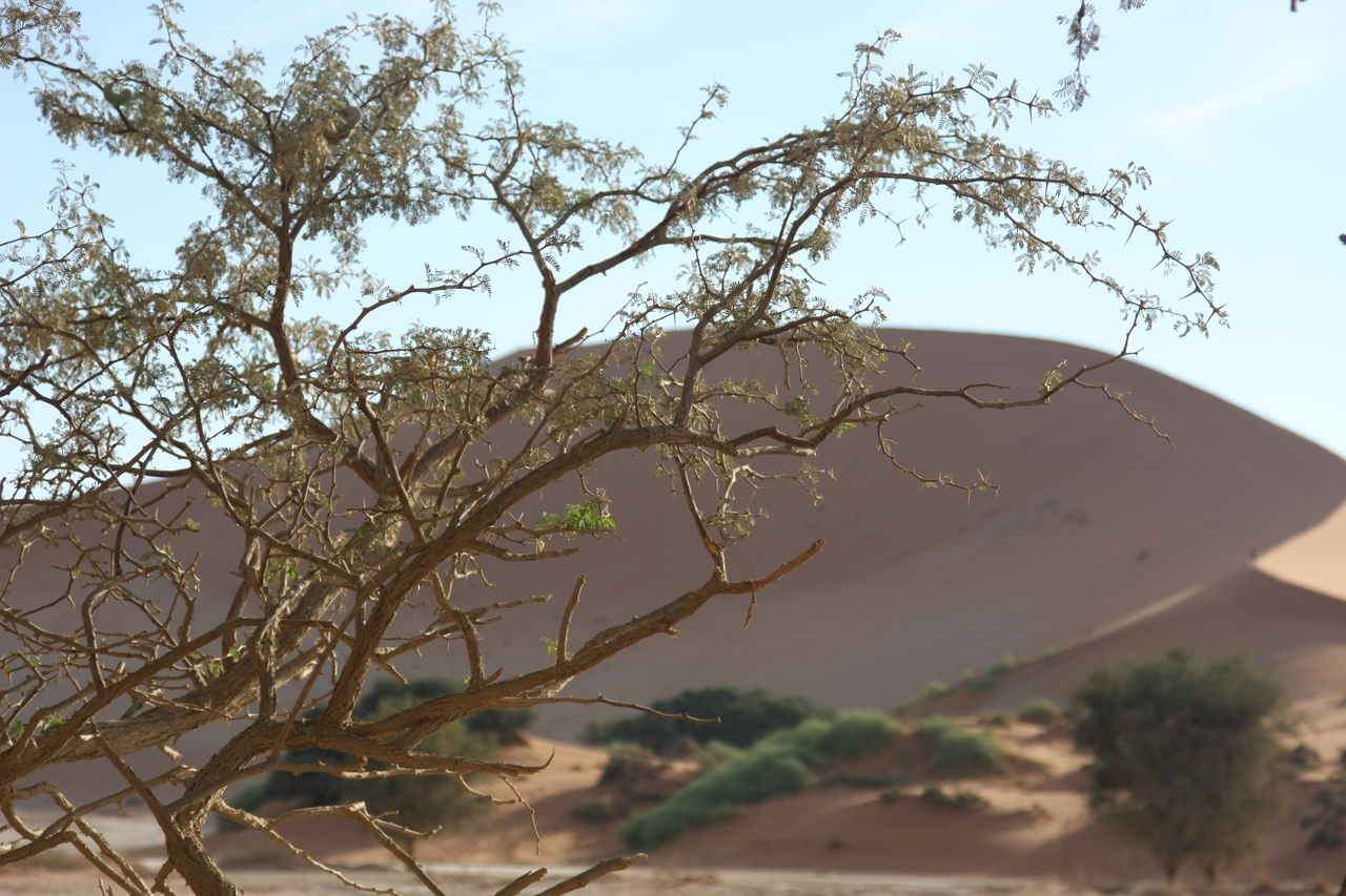 [15097] 2016_06_25_03_31_20_Africa_Canon_EOS_40D_IMG__00032.jpg