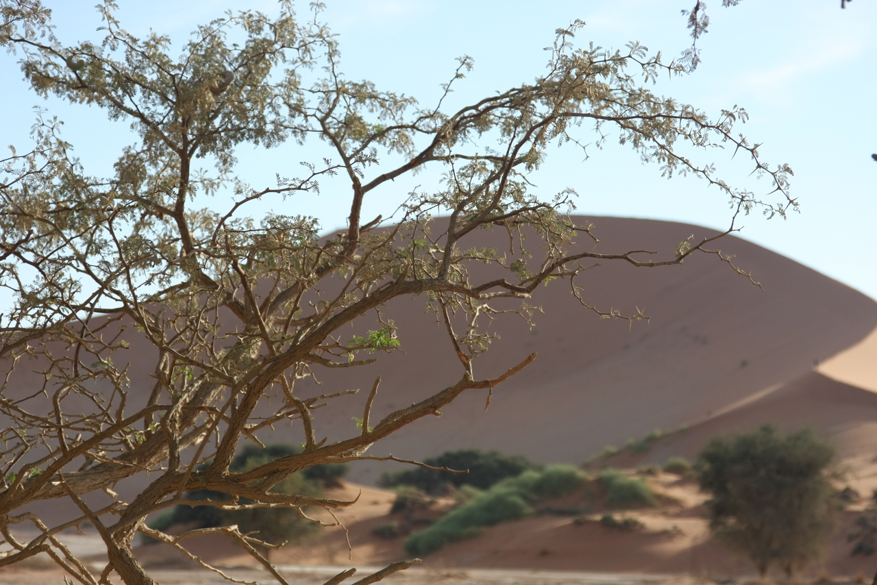 [15098] 2016_06_25_03_31_20_Africa_Canon_EOS_40D_IMG__00033.jpg