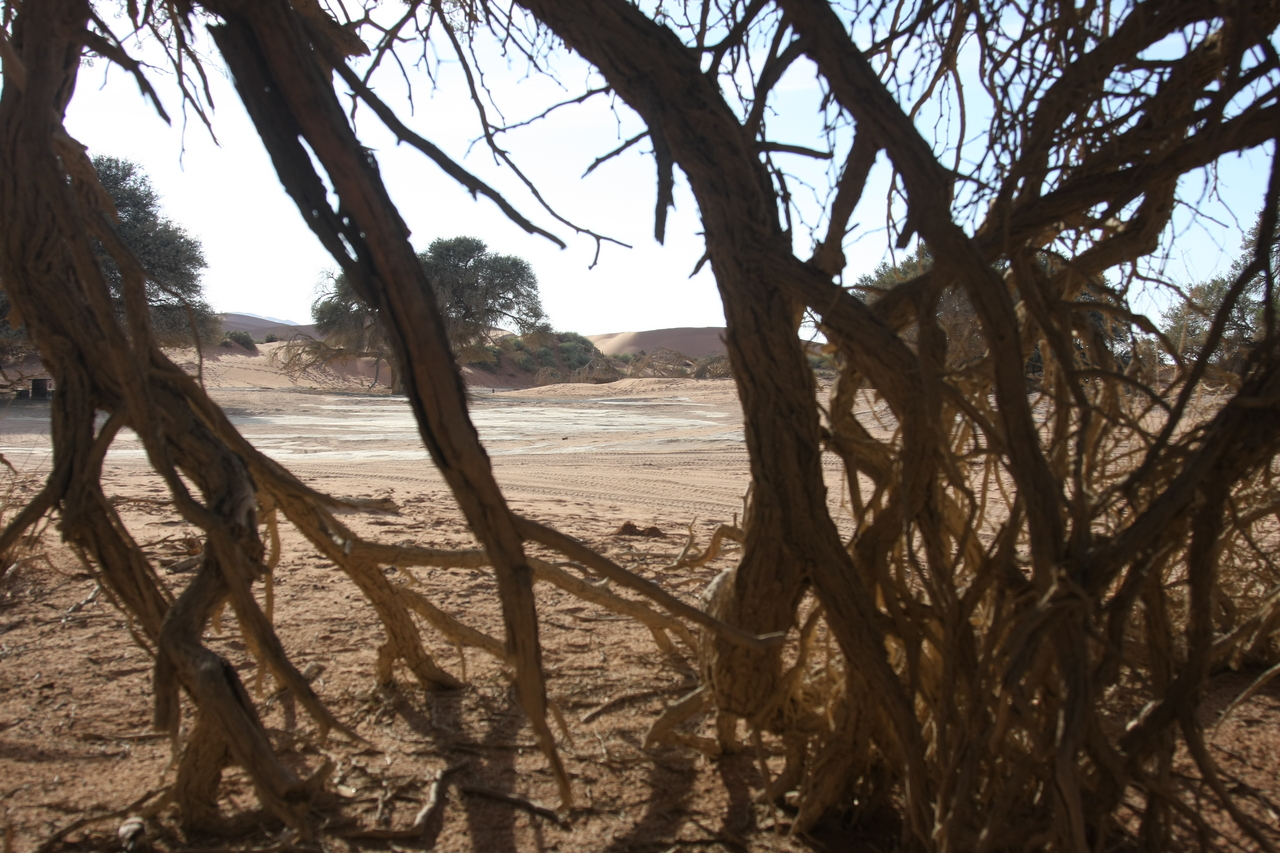 [15105] 2016_06_25_03_32_38_Africa_Canon_EOS_40D_IMG__09474.jpg