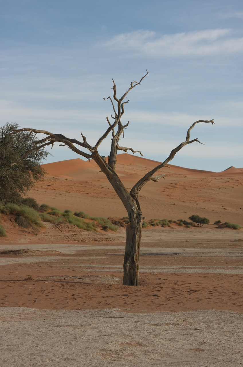 [15116] 2016_06_25_03_39_36_Africa_Canon_EOS_40D_IMG__09478.jpg