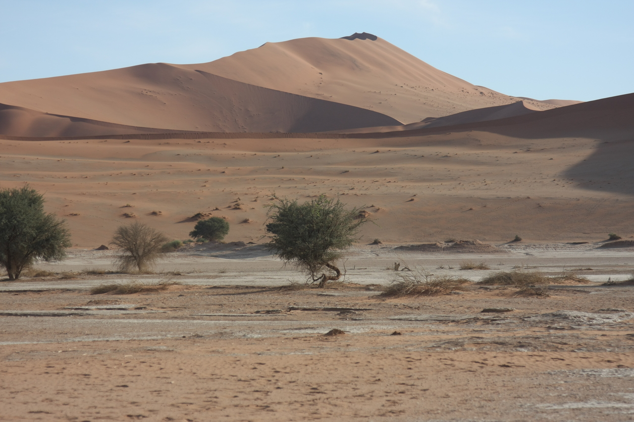 [15124] 2016_06_25_03_40_05_Africa_Canon_EOS_40D_IMG__00042.jpg