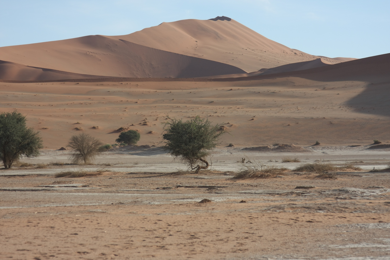 [15127] 2016_06_25_03_40_05_Africa_Canon_EOS_40D_IMG__02036.jpg