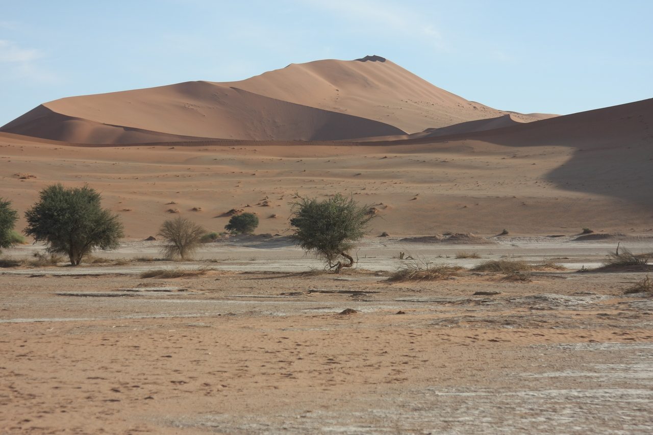 [15131] 2016_06_25_03_40_09_Africa_Canon_EOS_40D_IMG__02037.jpg