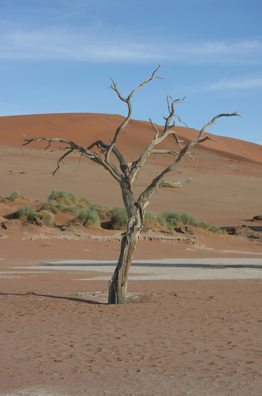 [15135] 2016_06_25_03_41_05_Africa_Canon_EOS_40D_IMG__09485.jpg