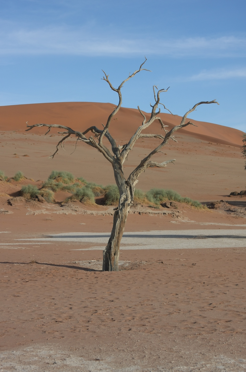 [15140] 2016_06_25_03_41_08_Africa_Canon_EOS_40D_IMG__09486.jpg