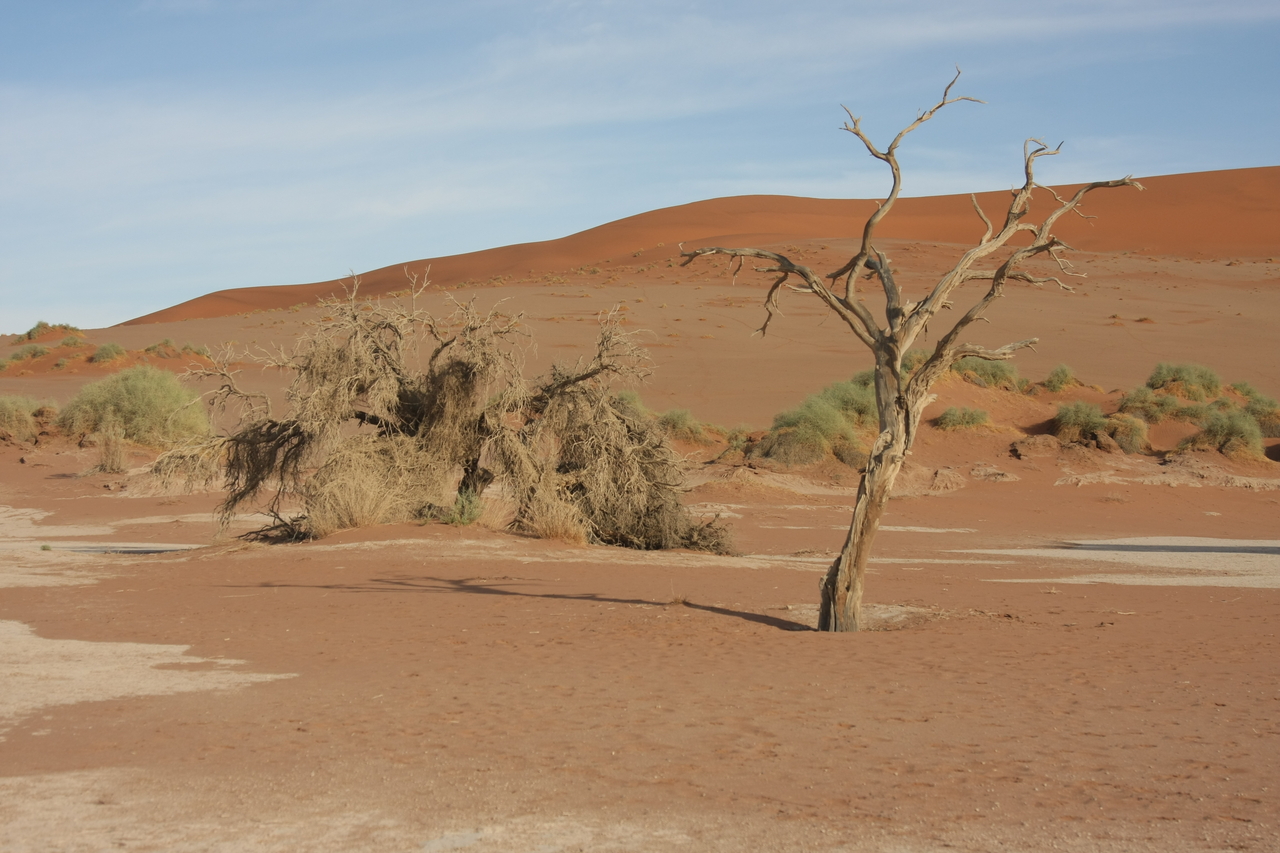 [15144] 2016_06_25_03_42_02_Africa_Canon_EOS_40D_IMG__02042.jpg