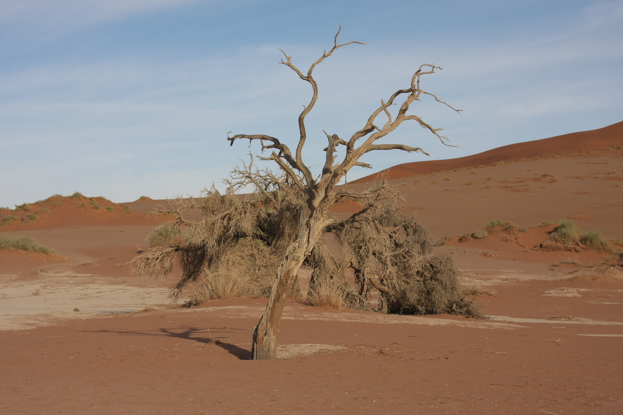 [15152] 2016_06_25_03_42_44_Africa_Canon_EOS_40D_IMG__02045.jpg