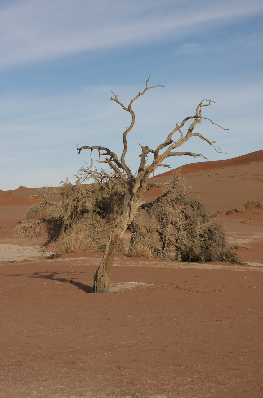 [15155] 2016_06_25_03_42_55_Africa_Canon_EOS_40D_IMG__00054.jpg