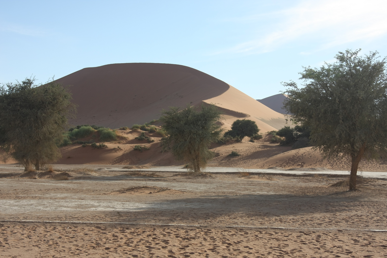 [15166] 2016_06_25_03_43_54_Africa_Canon_EOS_40D_IMG__09495.jpg