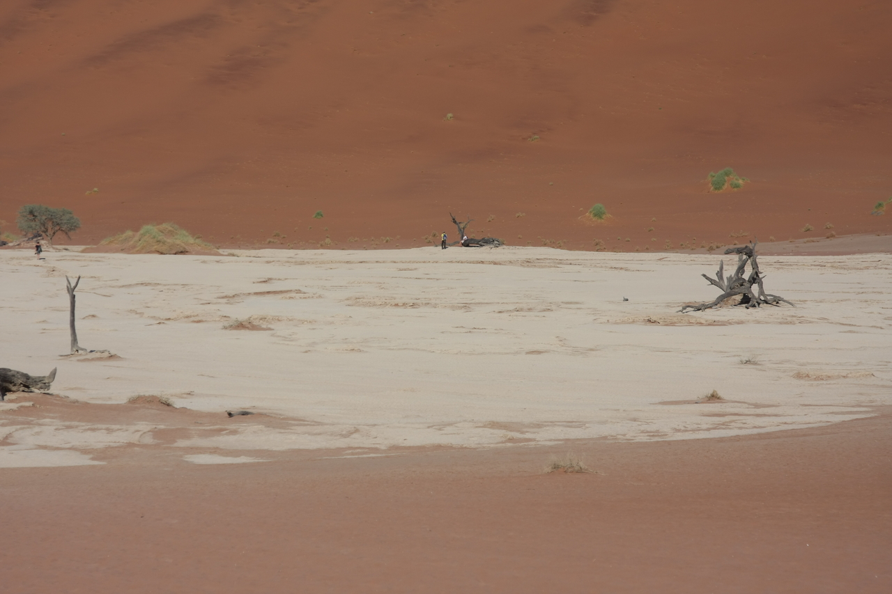 [15274] 2016_06_25_04_47_57_Africa_Canon_EOS_40D_IMG__09524.jpg