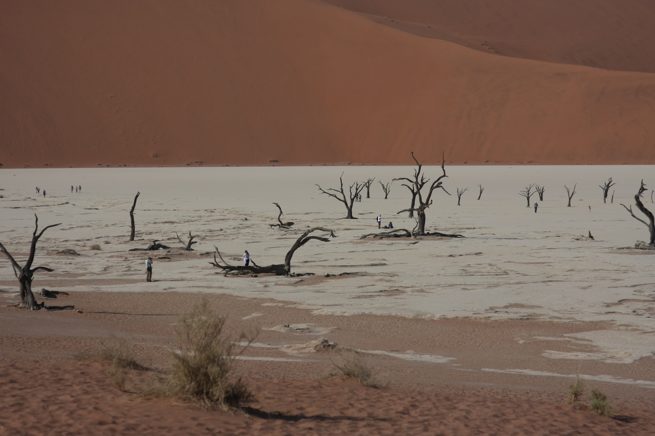 [15286] 2016_06_25_04_48_07_Africa_Canon_EOS_40D_IMG__09528.jpg