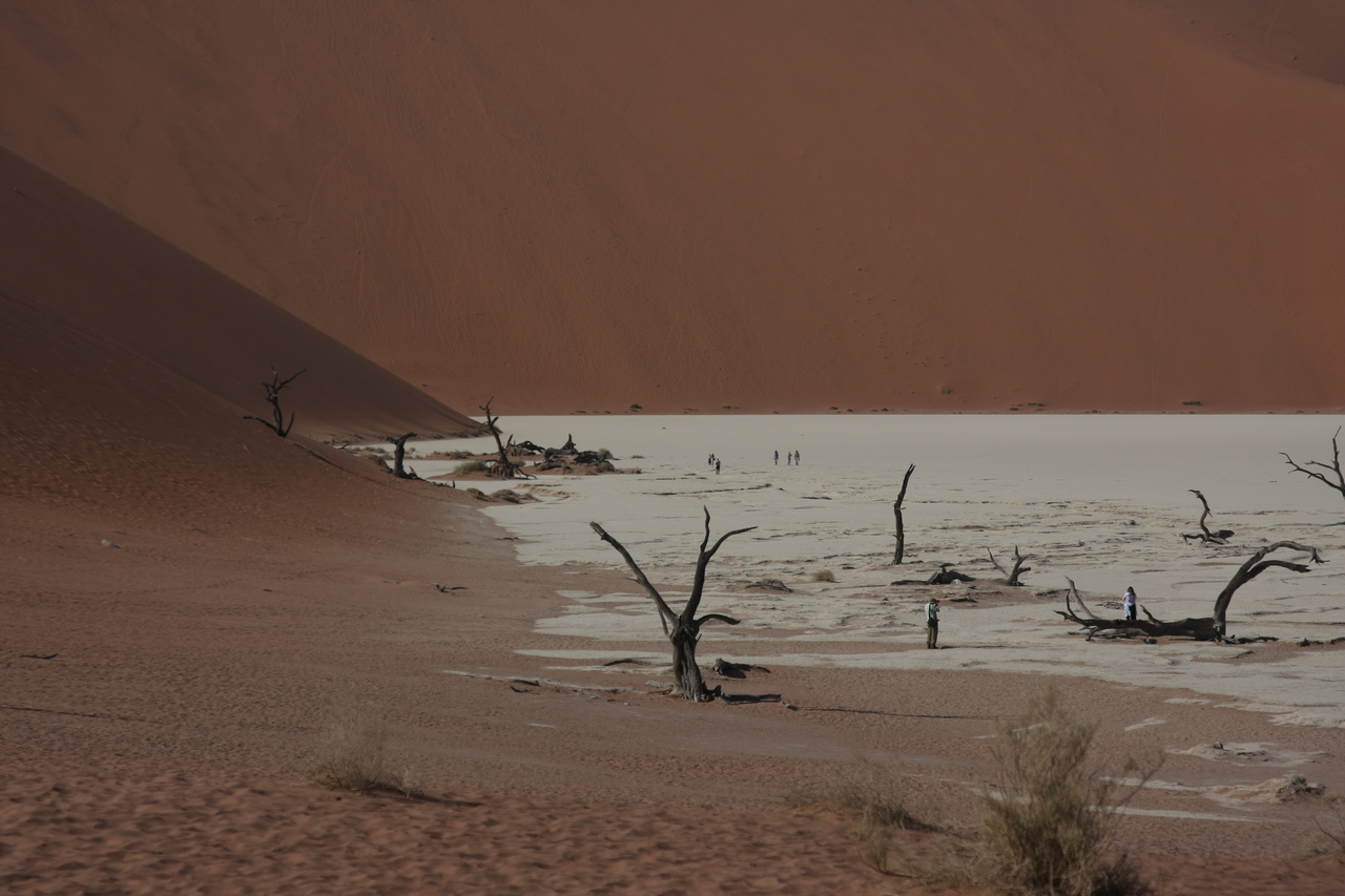 [15289] 2016_06_25_04_48_09_Africa_Canon_EOS_40D_IMG__09529.jpg