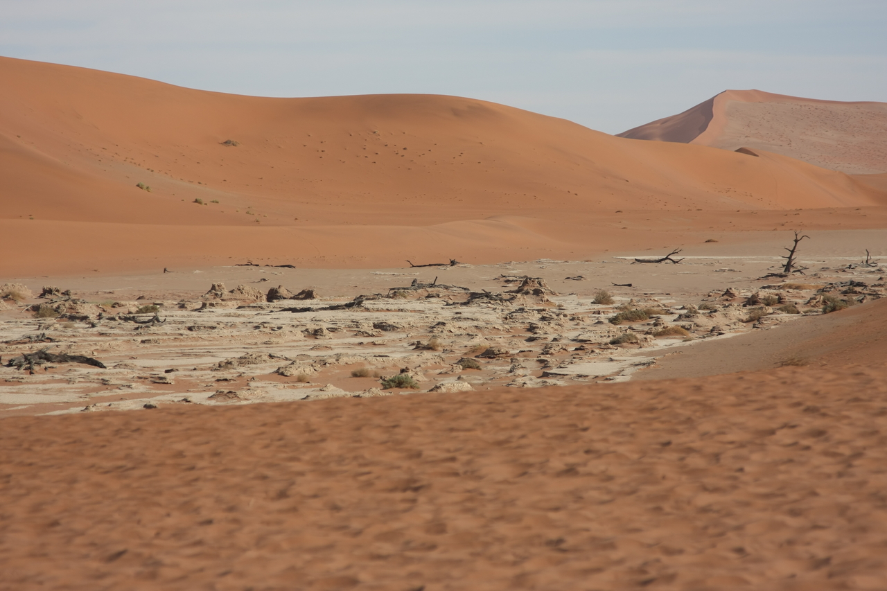 [15294] 2016_06_25_04_48_26_Africa_Canon_EOS_40D_IMG__09530.jpg