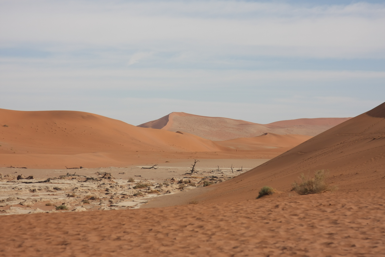 [15300] 2016_06_25_04_48_30_Africa_Canon_EOS_40D_IMG__09533.jpg