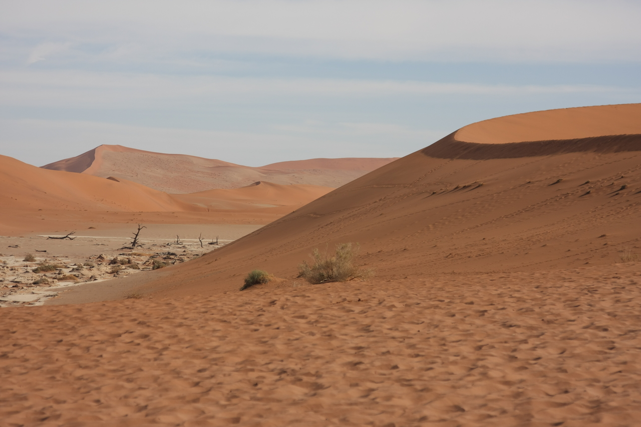 [15307] 2016_06_25_04_48_34_Africa_Canon_EOS_40D_IMG__09536.jpg