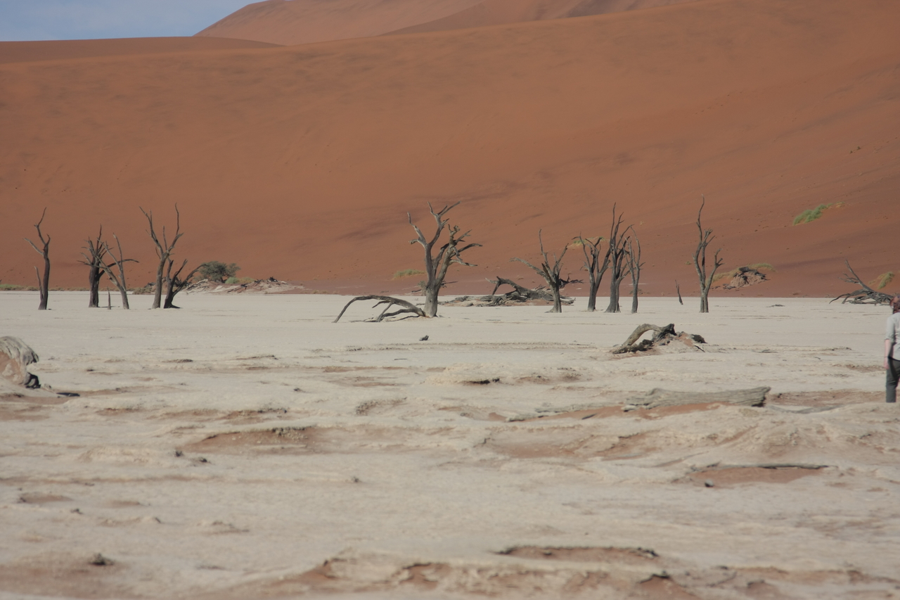 [15308] 2016_06_25_04_50_25_Africa_Canon_EOS_40D_IMG__00097.jpg