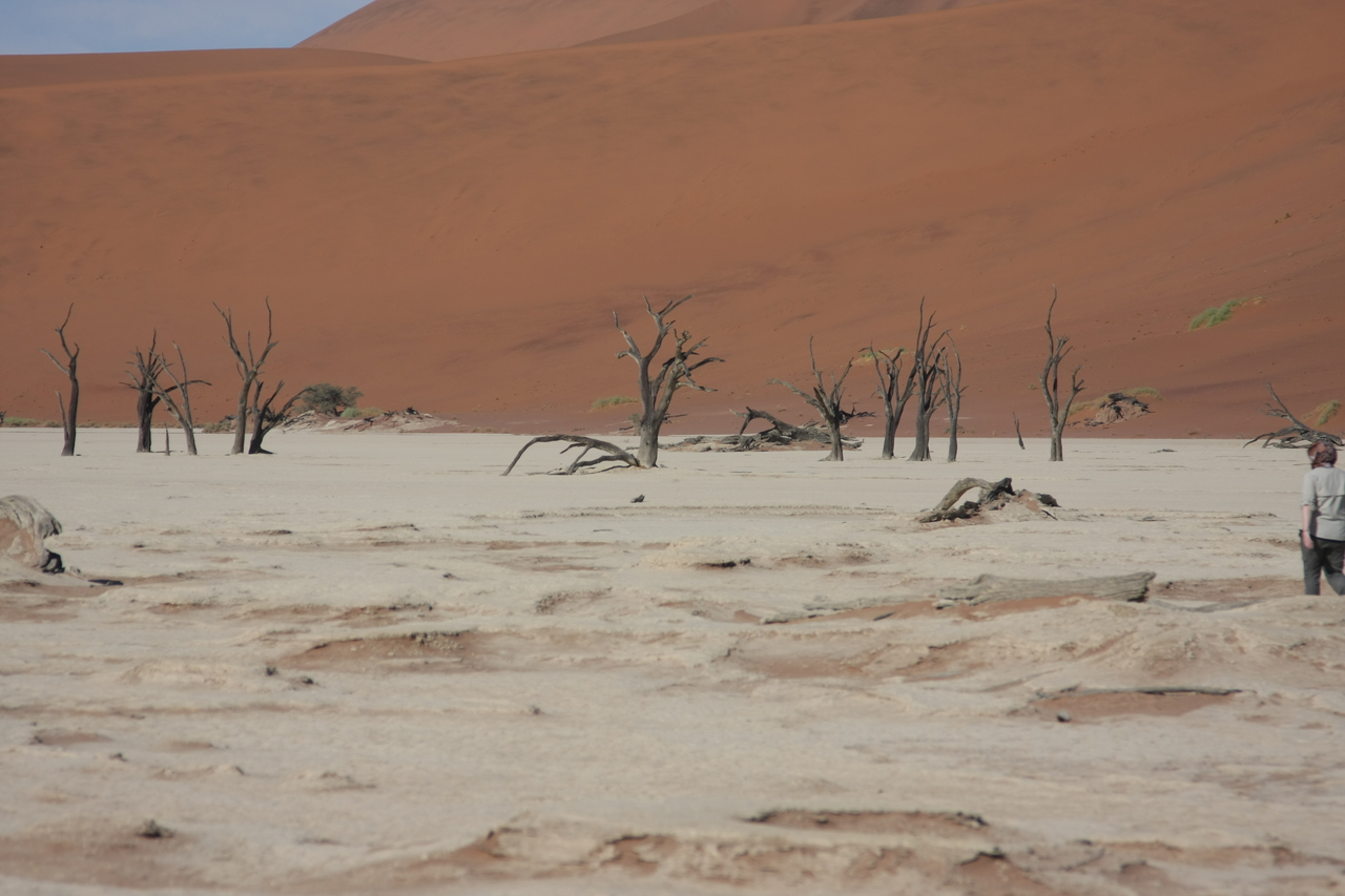 [15313] 2016_06_25_04_50_25_Africa_Canon_EOS_40D_IMG__09538.jpg