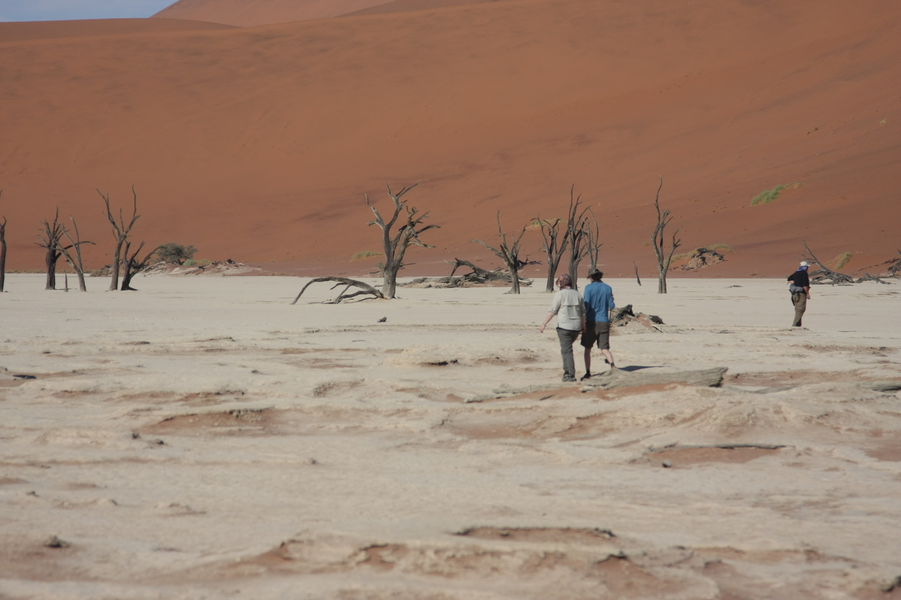 [15316] 2016_06_25_04_50_33_Africa_Canon_EOS_40D_IMG__09539.jpg