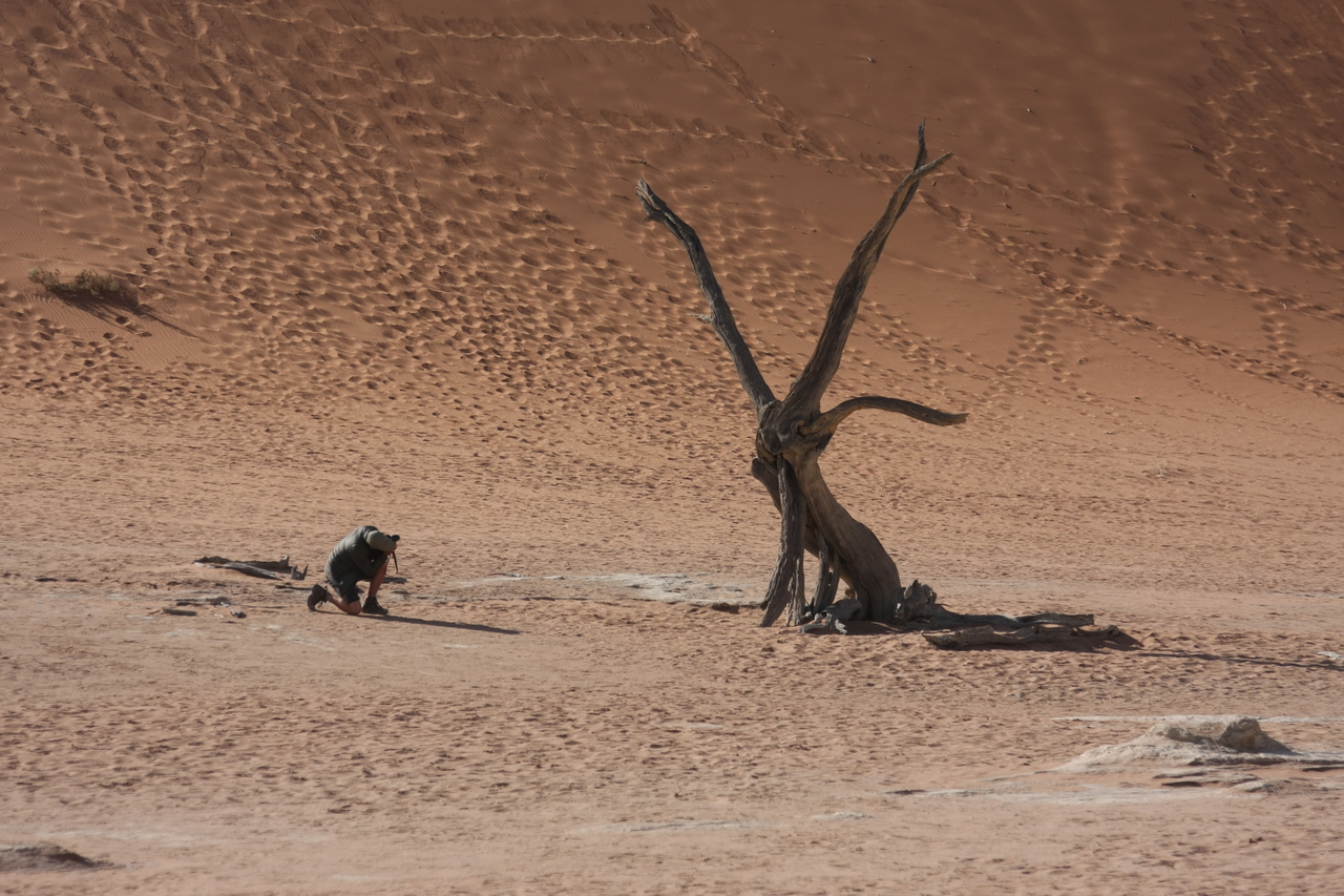 [15317] 2016_06_25_04_50_52_Africa_Canon_EOS_40D_IMG__00100.jpg