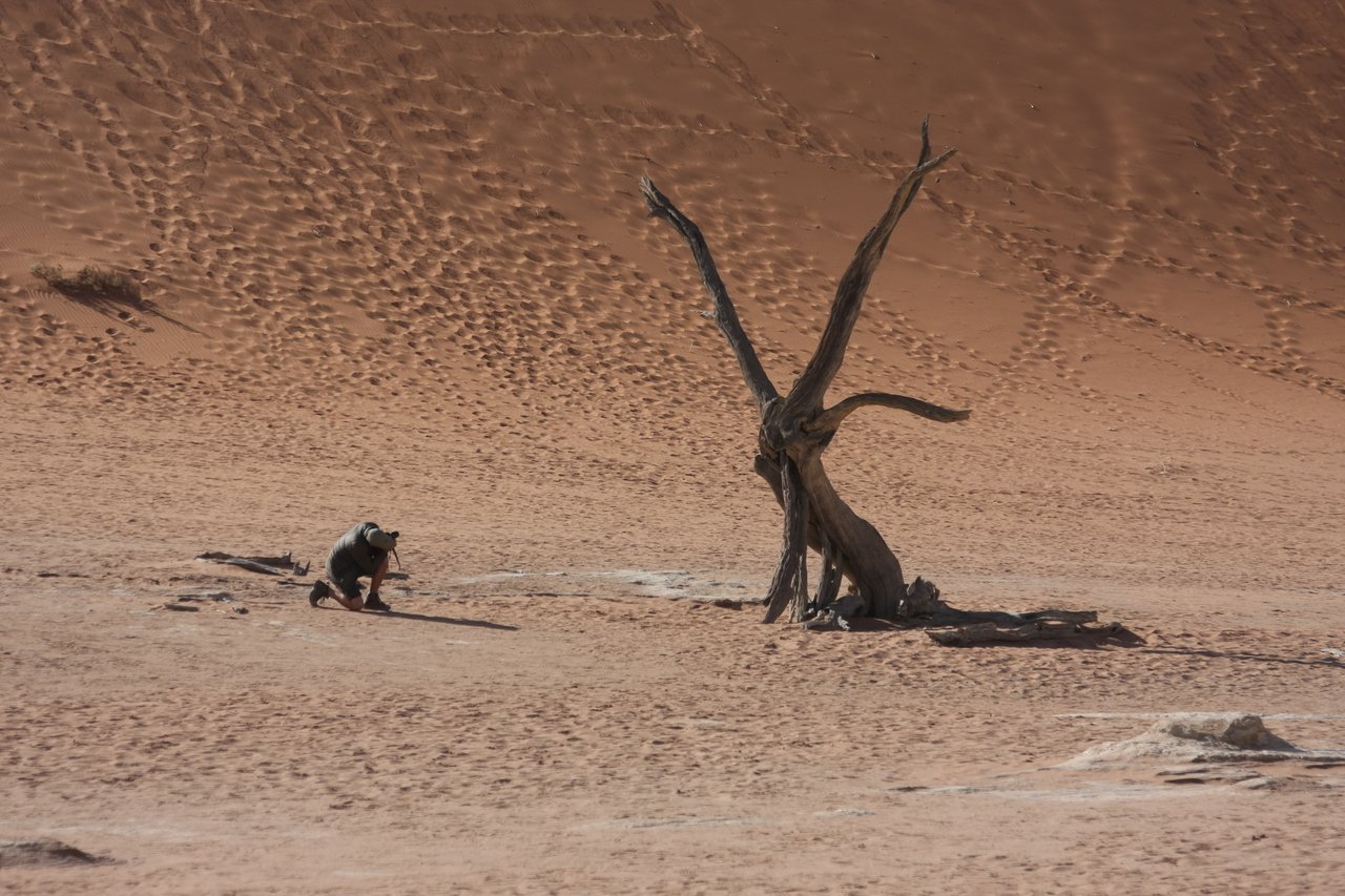 [15320] 2016_06_25_04_50_52_Africa_Canon_EOS_40D_IMG__02094.jpg