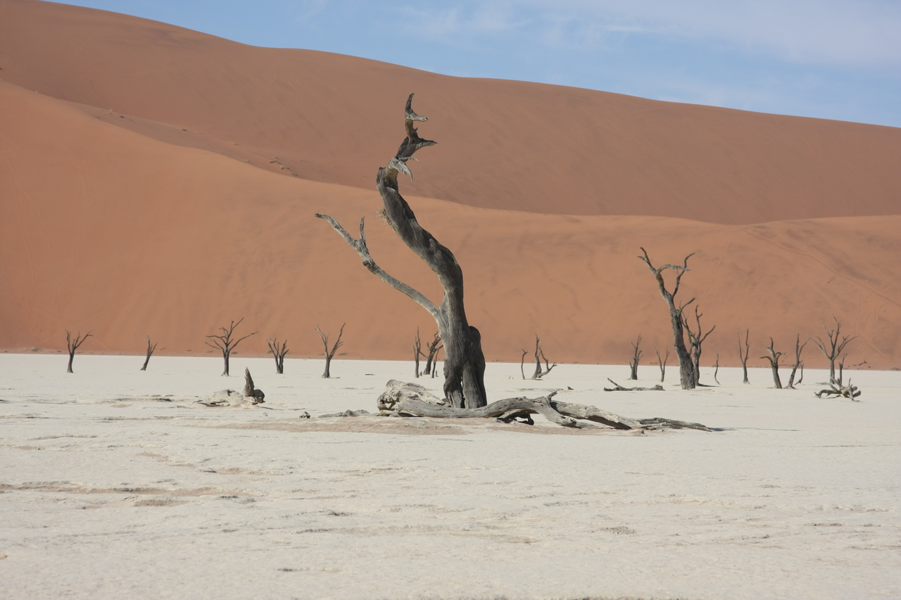 [15323] 2016_06_25_04_51_34_Africa_Canon_EOS_40D_IMG__00103.jpg