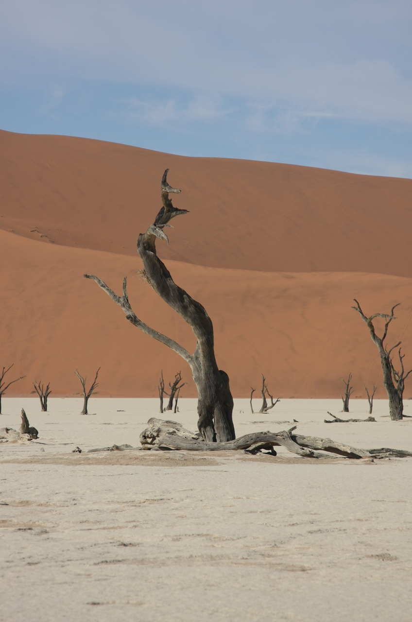 [15330] 2016_06_25_04_51_50_Africa_Canon_EOS_40D_IMG__09544.jpg